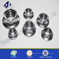 Prix ​​concurrentiel DIN934 Hex Nut